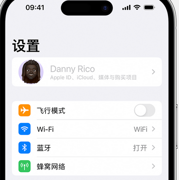 卢氏appleID维修服务iPhone设置中Apple ID显示为灰色无法使用