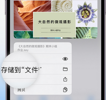 卢氏apple维修中心分享iPhone文件应用中存储和找到下载文件