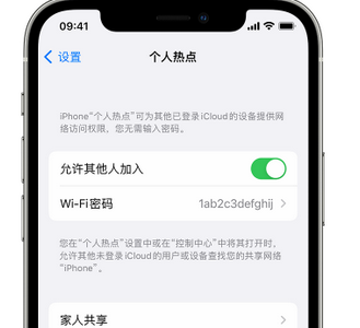 卢氏apple服务站点分享iPhone上个人热点丢失了怎么办