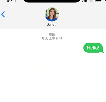 卢氏apple维修iPhone上无法正常发送iMessage信息