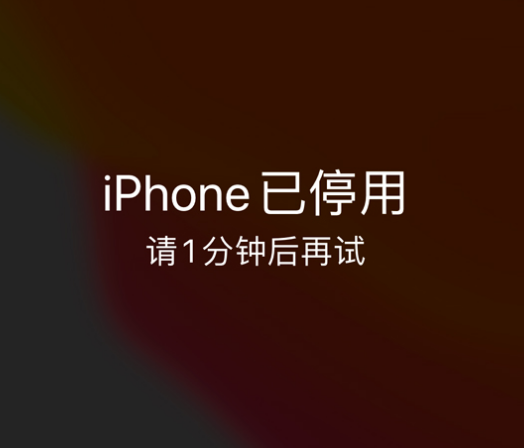 卢氏苹果手机维修分享:iPhone 显示“不可用”或“已停用”怎么办？还能保留数据吗？ 