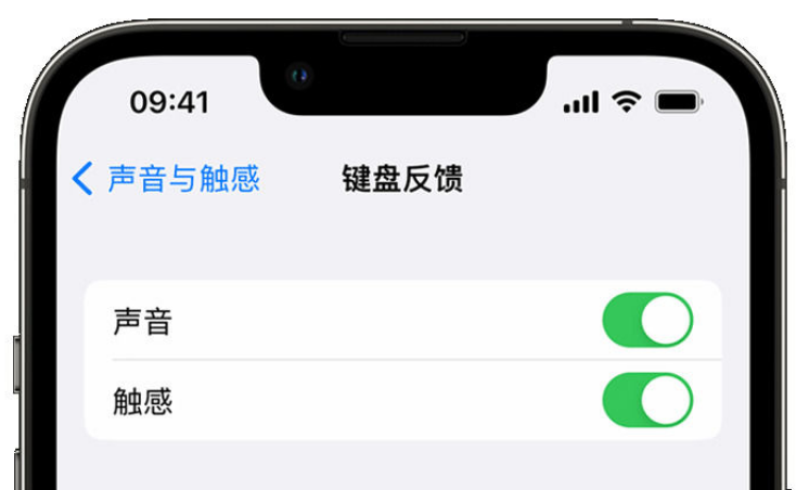 卢氏苹果手机维修分享iPhone 14触感键盘使用方法 