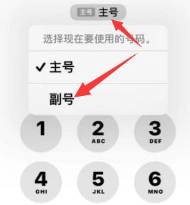 卢氏苹果14维修店分享iPhone 14 Pro Max使用副卡打电话的方法 