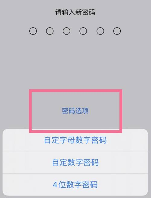 卢氏苹果14维修分享iPhone 14plus设置密码的方法 