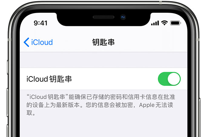 卢氏苹果手机维修分享在 iPhone 上开启 iCloud 钥匙串之后会储存哪些信息 