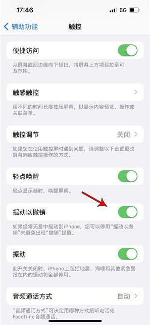 卢氏苹果手机维修分享iPhone手机如何设置摇一摇删除文字 